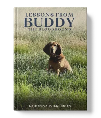 Book5